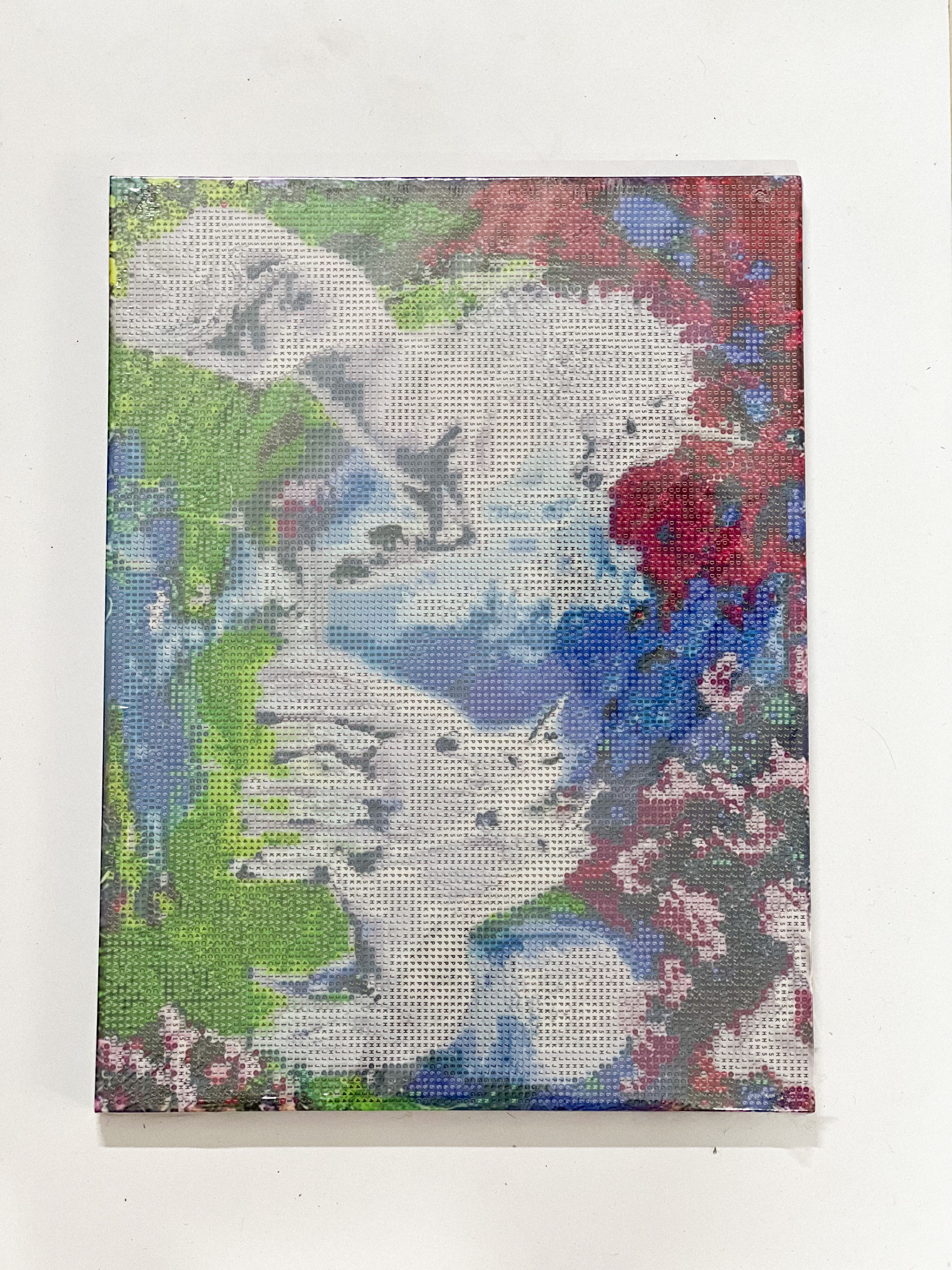 نقاشی الماسی بوم بزرگسال 30 * 40 - اسب - 1000801